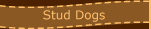 Stud Dogs